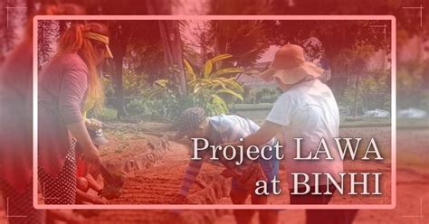 dswd project power|DSWD gears for nationwide implementation of Project LAWA at BINHI a.